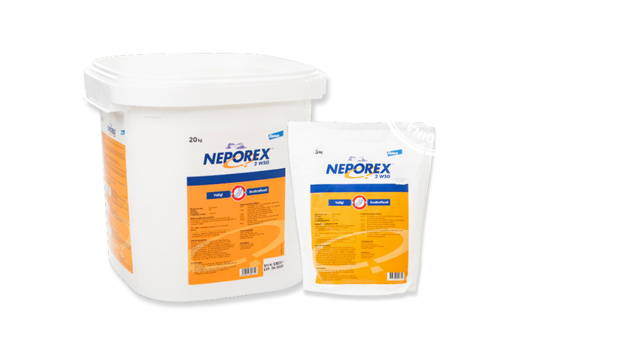 Ontwerp zonder titel (32)