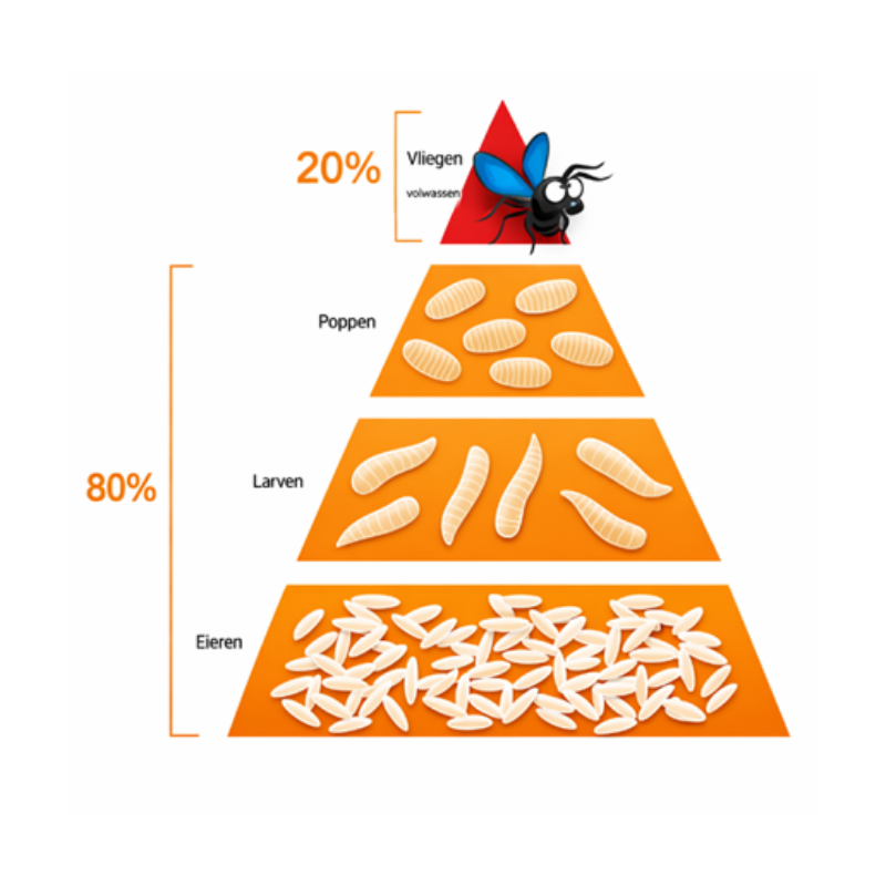 Ontwerp zonder titel (34)