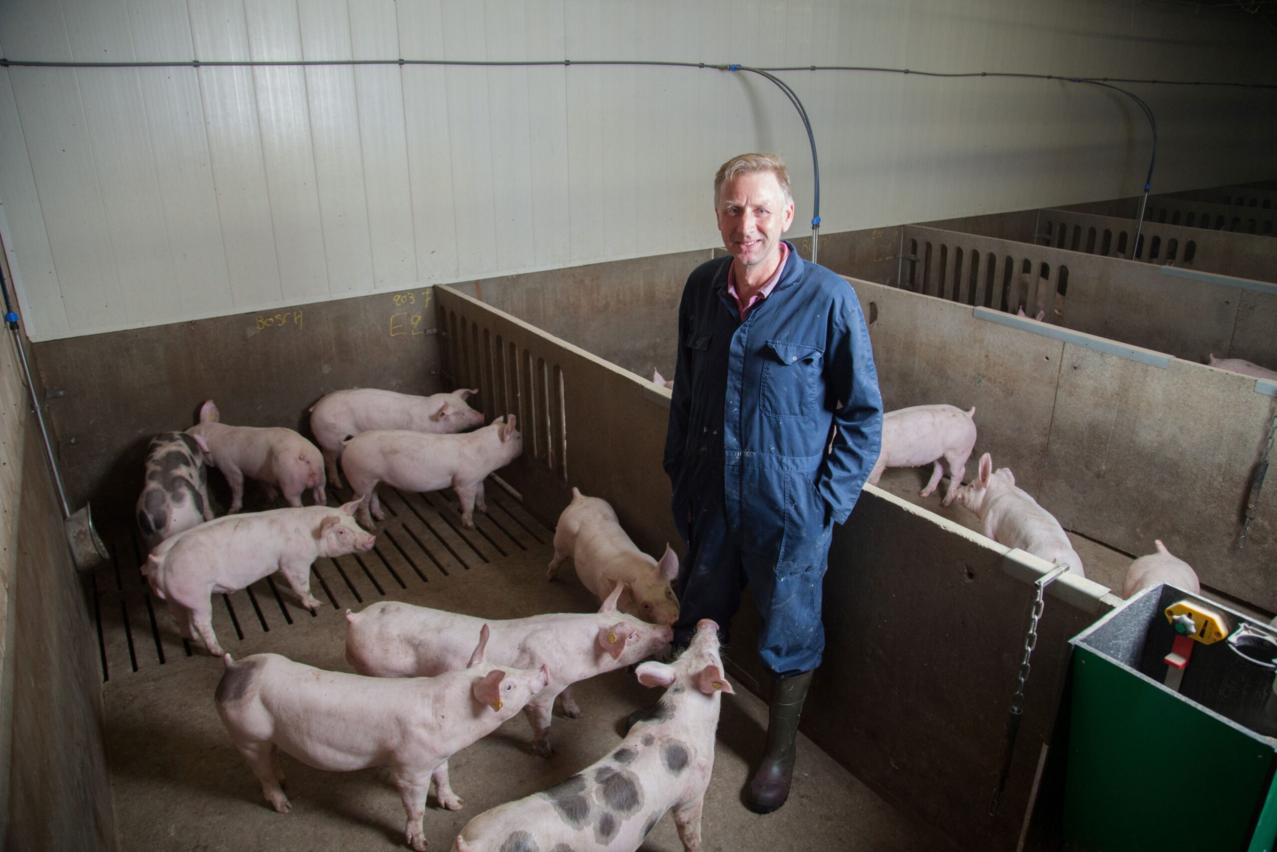 Bert Bosch in de stal